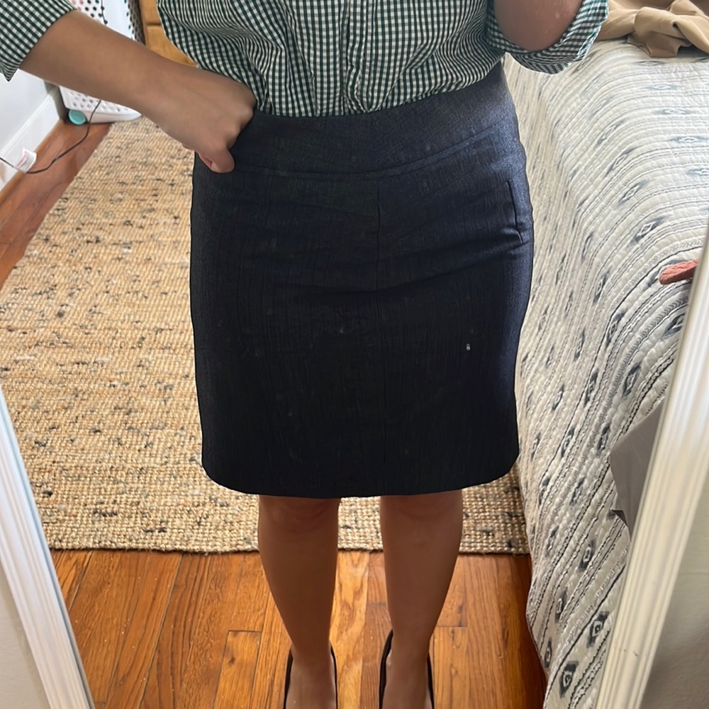 The Limited dress skirt
